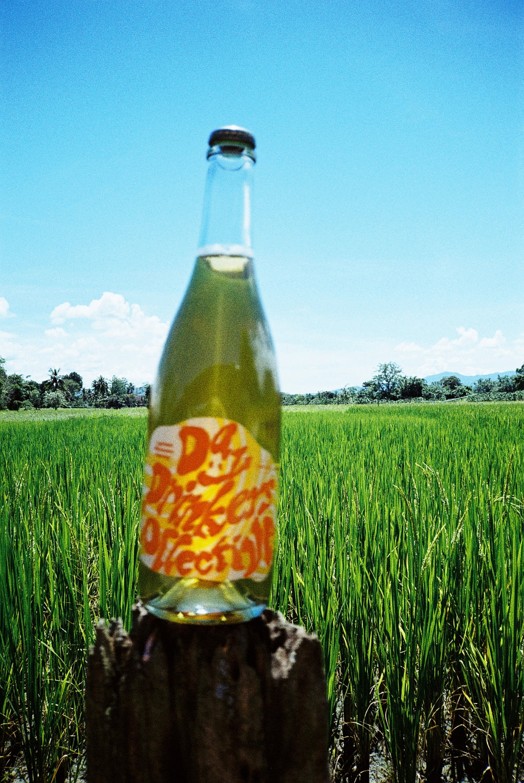 Bottle of Day Drinkers wine in a field with a clear blue sky