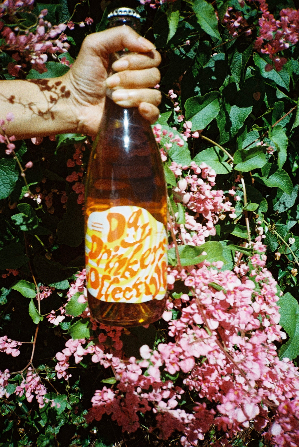 Hand holding a bottle of Day Drinkers wine among pink flowers