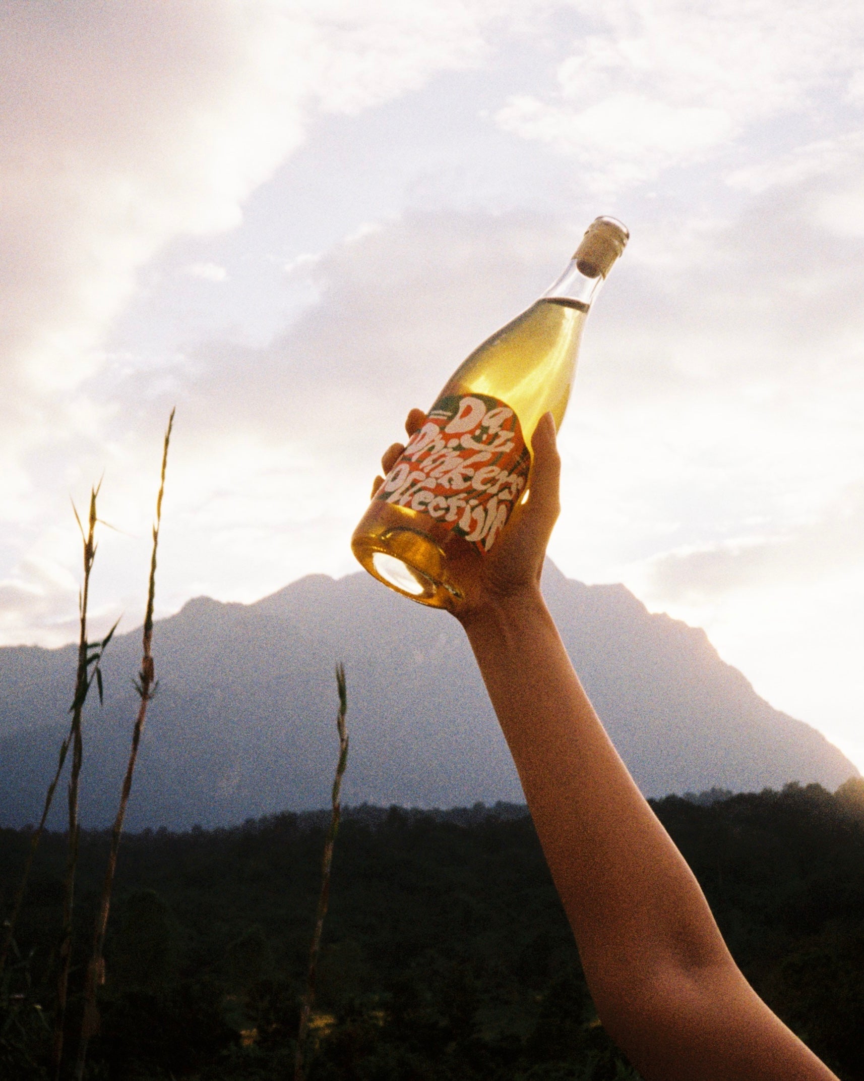Hand holding a bottle of Day Drinkers wine against a mountainous landscape
